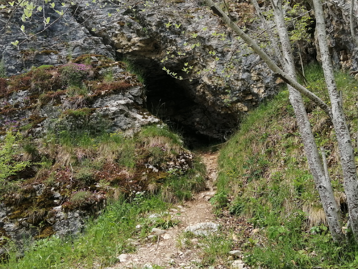 Entrée de la grotte.
