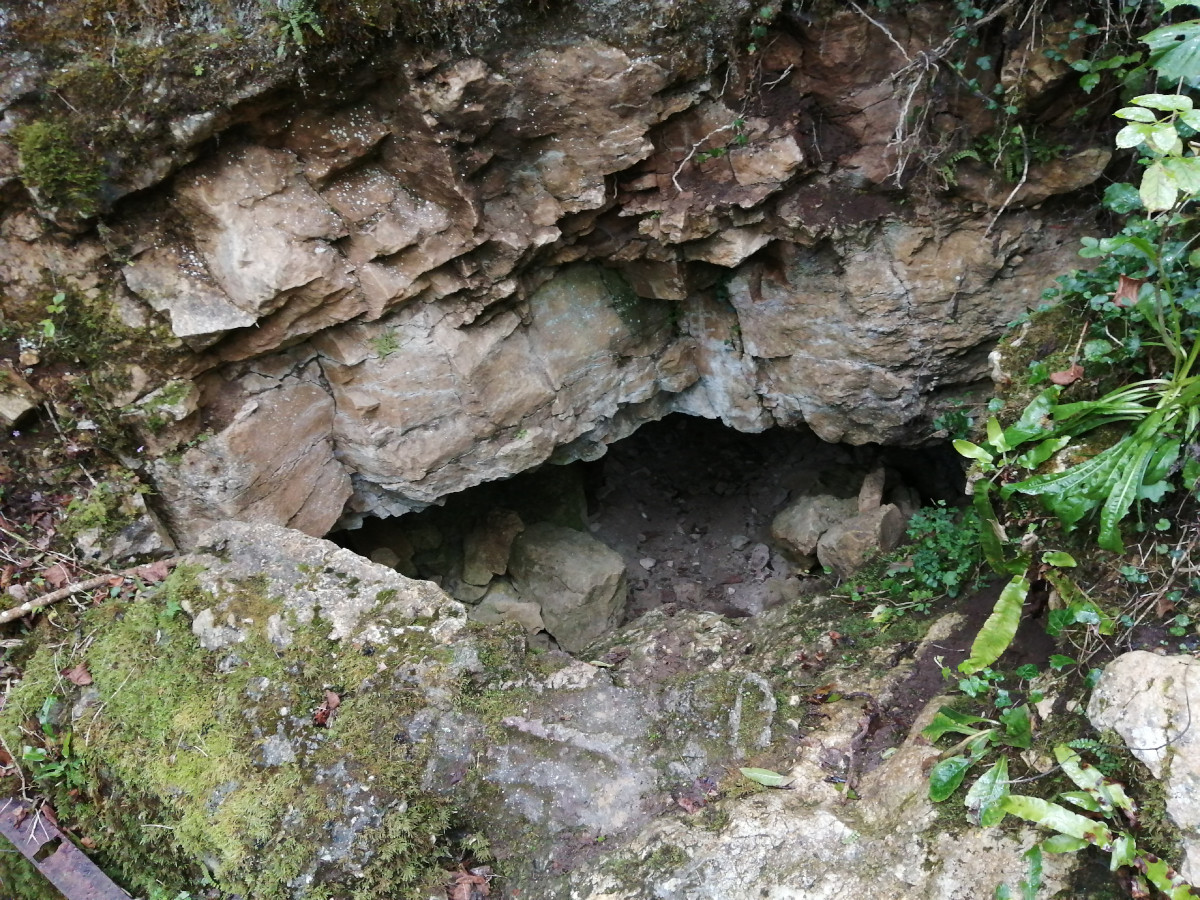 Entrée inférieure de la cavité.