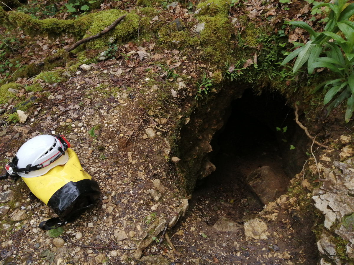 Entrée supérieure de la cavité.